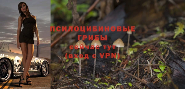 индика Ростов