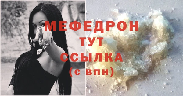 индика Ростов