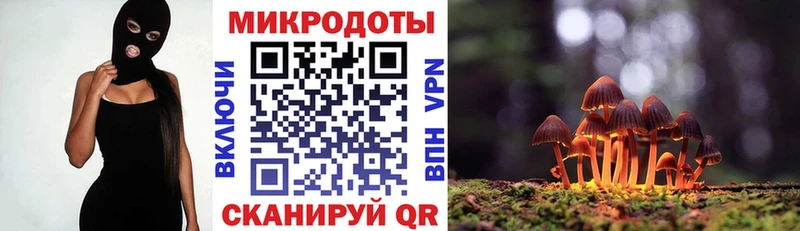 цены наркотик  Сусуман  Псилоцибиновые грибы ЛСД 